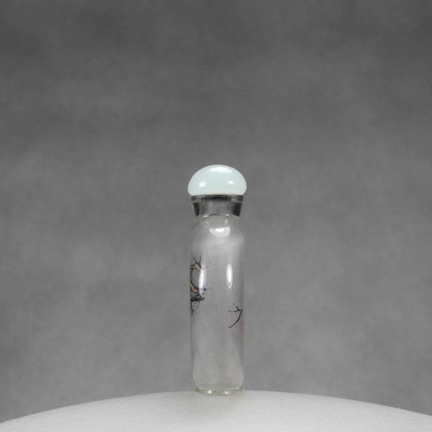 IP6 An inside painted glass snuff bottle signed Cai Shi - immagine 2