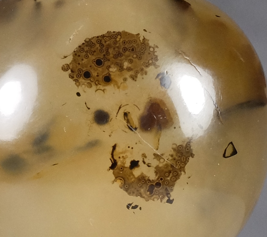 S26 A botryoidal agate “bat and hedgehog” snuff bottle - immagine 10