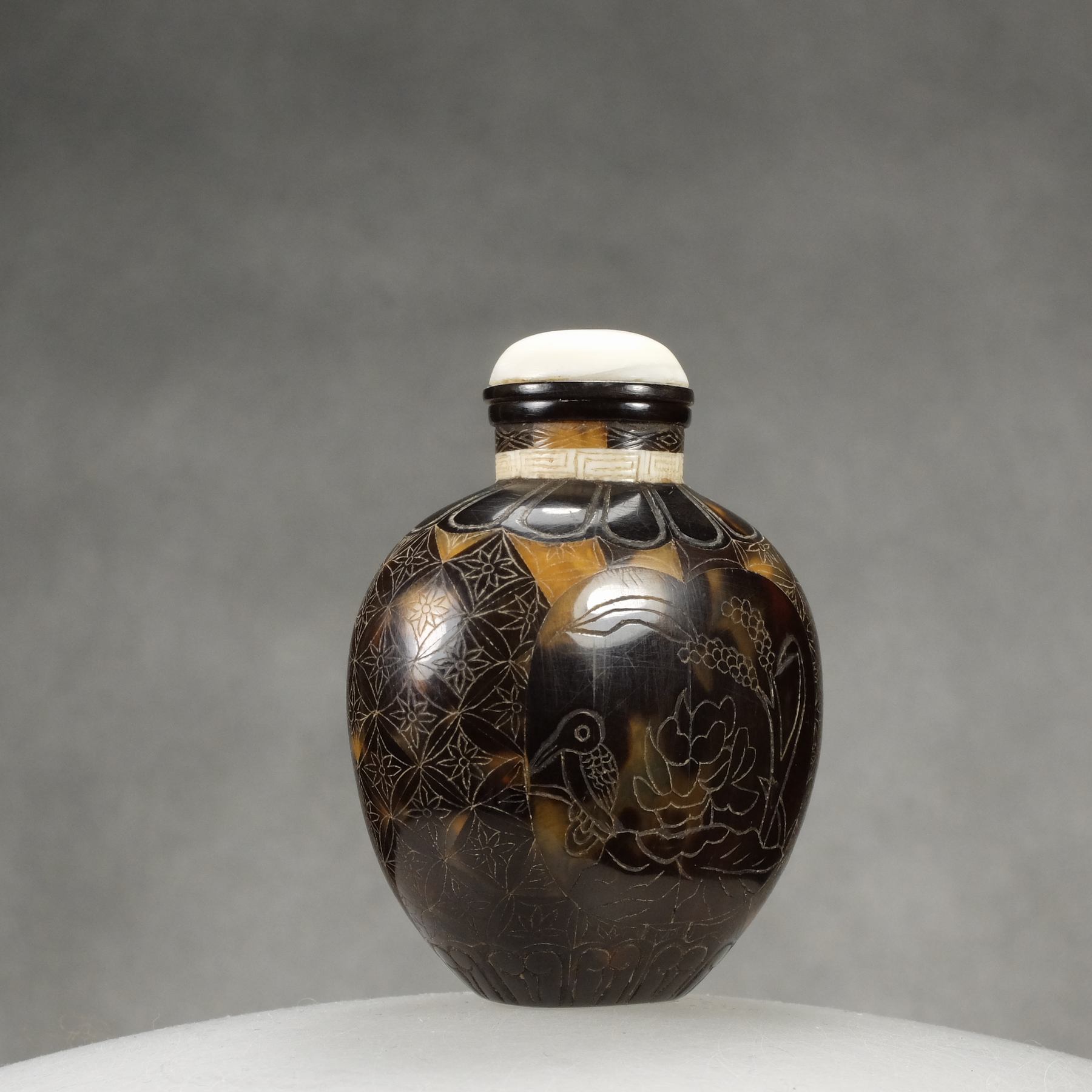 O9 A tortoise shell incised snuff bottle - immagine 4