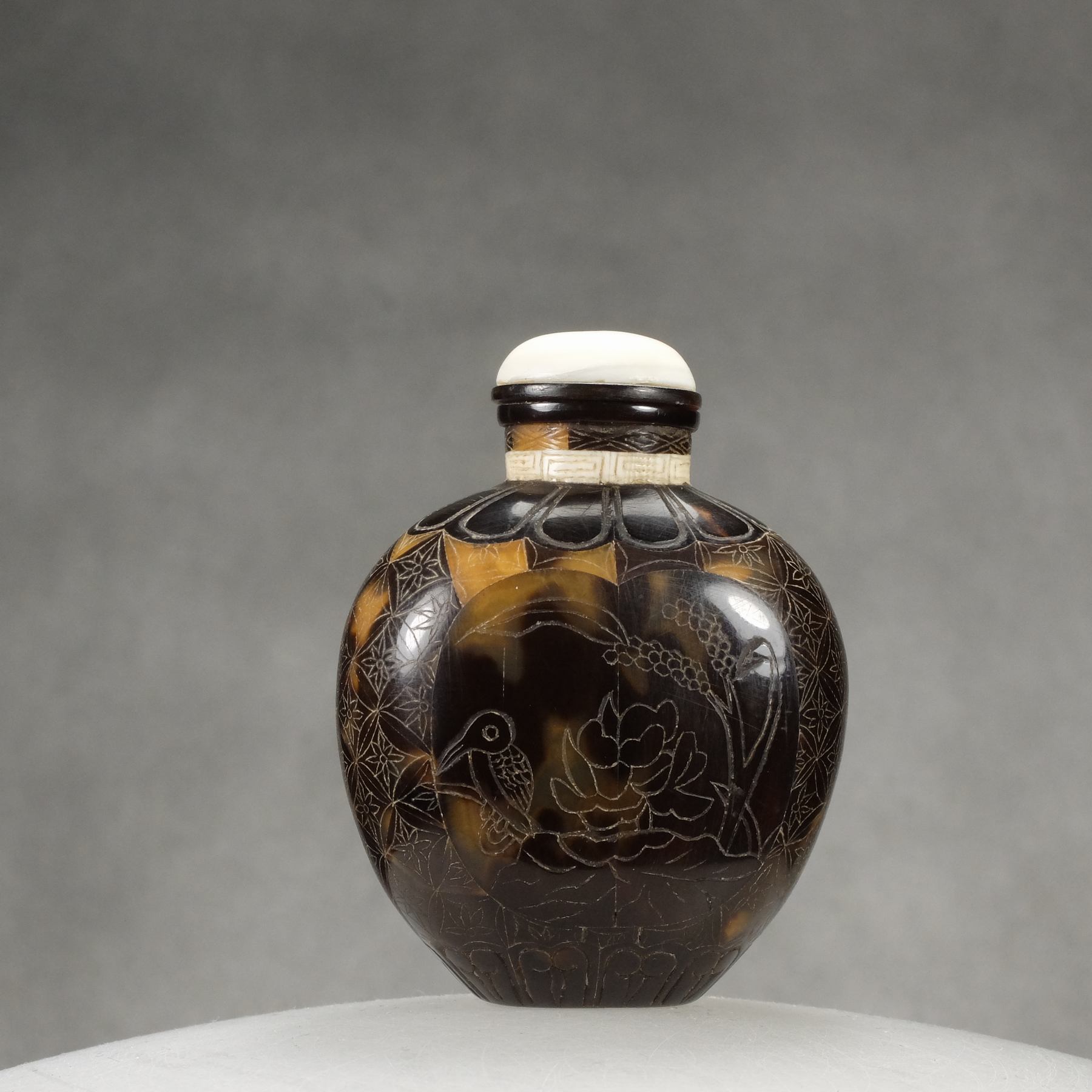 O9 A tortoise shell incised snuff bottle - immagine 5