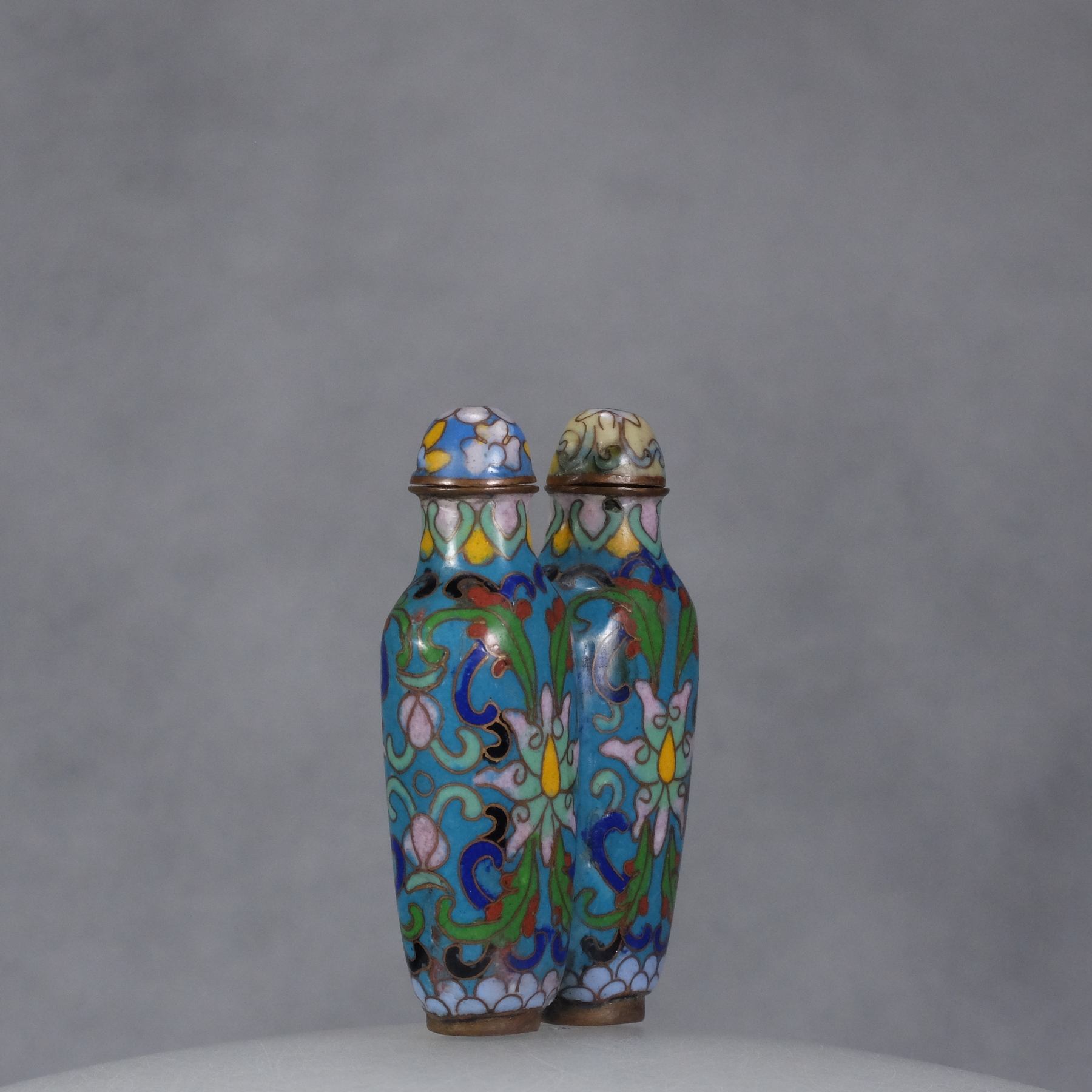 M9 A cloisonné “Lotus” double snuff bottle - immagine 8
